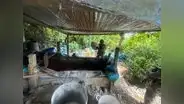 Desmantelan 155 narco laboratorios en distintas regiones del país
