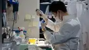 Japón revoluciona la medicina regenerativa al aprobar los primeros tratamientos para el corazón y el Parkinson