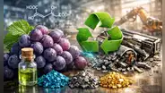 Científicos descubren que un ácido natural presente en las uvas ayuda a separar metales clave para reciclar baterías