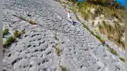 Unos escaladores italianos descubrieron por accidente pruebas de una estampida de tortugas marinas de hace 80 millones de años