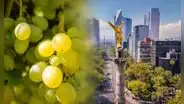 Exportaciones peruanas con valor agregado a México superan los US$100 millones en enero de 2026