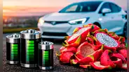Científicos chinos logran convertir cáscaras de pitahaya en un elemento clave para las baterías de autos eléctricos y aeronaves militares