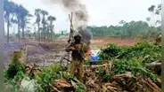 Madre de Dios: Minería ilegal pierde más de S/ 10 millones por operaciones militares
