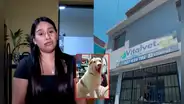 Pareja denuncia a veterinaria de VES por muerte de su mascota tras presunta mala praxis en esterilización