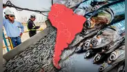 Este país de América Latina destaca como el mayor productor de pescado en el mundo junto a China: supera a EE.UU. y Rusia