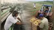 INEI: producción nacional creció 3,68% en febrero por mayor actividad económica en comercio y construcción