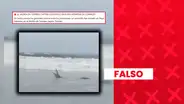 Video viral de cocodrilo "captado en playa de Tumbes" no es actual: circula desde el 2017 en medios locales de Costa Rica
