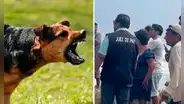 Investigan muerte de pescador por presunto ataque de 12 perros en la playa de Santiago de Car en La Libertad
