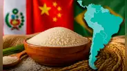 Ni Perú ni Panamá: el único país de América Latina en top 10 de producción y consumo de arroz en el mundo, detrás de China