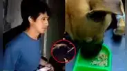 Sujeto es acusado de grave maltrato contra su perrito y vecinos piden rescate urgente en Independencia: "No quieren entregarlo"