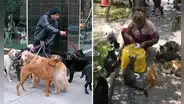 ¿Tienes más de dos mascotas? Esta ciudad del Perú aplicará multas de hasta S/1.100 por incumplir nueva norma