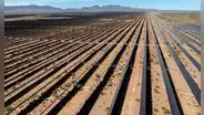 La planta de energía solar más grande de EE. UU. cierra tras causar la muerte de aves: costó más de US$1000 millones