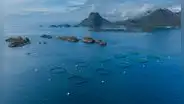 Las joyas naturales de Noruega al borde de la desaparición tras ser afectadas por industria clave: no es el petróleo ni el gas natural