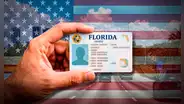 Ley HB 991 en Florida exigirá que las licencias de conducir incluyan un nuevo dato migratorio a partir del 1 de enero de 2027