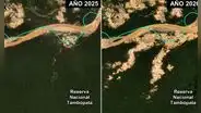 Minería ilegal avanza en área protegida Tambopata: monitoreo satelital revela más de 500 hectáreas deforestadas