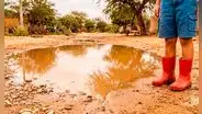 Leptospirosis avanza en Lambayeque: reportan 26 contagios y movilizan vigilancia sanitaria