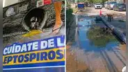 Piden emergencia sanitaria por leptospirosis y dengue tras brote de variante más agresiva en Piura