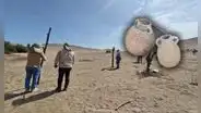 Hallan piezas prehispánicas en perfecto estado dentro de zona arqueológica invadida en Huaura