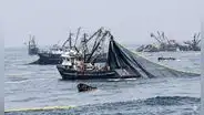 Empresas pesqueras acumulan 99 sanciones por operar en la Reserva Nacional de Paracas