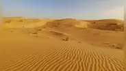 El proyecto ecológico más ambicioso del mundo: 11 países de África luchan juntos para detener el avance del desierto del Sáhara