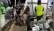 Cae envío de droga: Sunat halla 14 kilos de cocaína escondidos en equipaje de pasajero en Tumbes