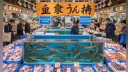 Japón lanza por primera vez anguilas criadas en laboratorio para proteger las poblaciones silvestres y revolucionar la pesca sostenible