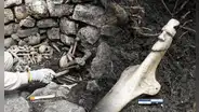 Arqueólogos de Perú descubren tumba de hace 600 años en Kuélap con restos humanos y ofrendas ceremoniales únicas