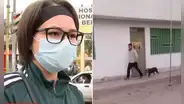 Mujer llegó de emergencia a hospital de Comas por grave ataque de pitbull, pero la dejan 8 horas esperando por no tener SIS