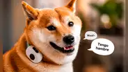 China lanza un collar inteligente para perros y gatos que traduciría sus sonidos y movimientos con más del 94% de efectividad