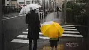 Japón descubre un nuevo tipo de olas de calor extremo con alta humedad y lluvias torrenciales: desata alerta entre científicos