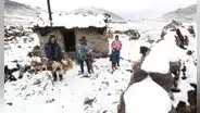 Hasta 5 centímetros de nieve: bajas temperatura dejan muertos, bloquean vías y afectan ganado en estas regiones