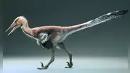 Paleontólogos argentinos descubren una nueva especie de dinosaurio pescador y emparentado con el velociraptor
