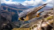 El animal más rápido del mundo caza a 386 km/h, maniobra con precisión sin perder estabilidad ni sufrir daños y suele migrar a Perú