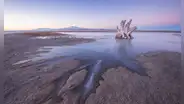 No existe en ningún otro lugar de la Tierra: científicos descubren una criatura misteriosa bajo un lago ultrasalado