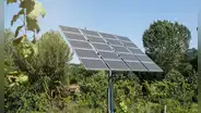 De campos sin vida a ecosistemas verdes: los parques solares en España que reparan el daño histórico de la agricultura intensiva