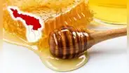 La provincia peruana que decidió proteger a las abejas por una razón que afecta directamente a tu comida