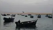 Fujimorismo y ‘lobby’ empresarial a favor de la pesca industrial