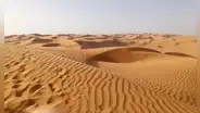 Arabia Saudita compra toneladas arena a pesar de tener un gran desierto: sus vastas dunas son inservibles para fabricar hormigón
