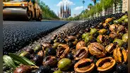 Carreteras hechas con millones de residuos de cáscaras de aceituna: la idea de científicos de Barcelona para construir calles más ecológicas y reducir el uso de materiales tradicionales