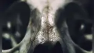 El descubrimiento en África que reescribiría la historia evolutiva humana: una tecnología para la supervivencia
