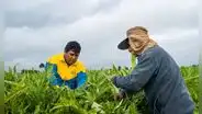Agroexportación en Perú: agua, saneamiento y salud siguen siendo los principales desafíos del campo