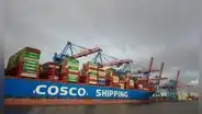 Megapuerto de Chancay: Poder Judicial respalda a Indecopi y rechaza demanda de Cosco Shipping