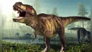 Los científicos descubren que el Tiranosaurio rex tardaba 40 años en alcanzar su tamaño adulto