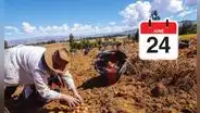 ¿Este 24 de junio es feriado a nivel nacional por el Día del Campesino? Revisa las fechas oficiales publicadas en El Peruano