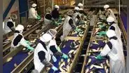 Fenómeno El Niño: manufactura perdería hasta S/350 millones diarios si se registra un evento fuerte