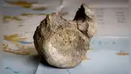Científicos confirman el primer hueso fósil de dinosaurio descubierto en la Antártida durante una expedición