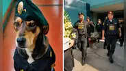 Despiden a Vaguito, perro rescatado que acompañó por años el trabajo de policías en Trujillo: "Hasta siempre, amigo fiel"