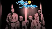 Agua Marina anuncia su retorno a los escenarios por sus 50 años y fans estallan de emoción: “Vuelve la universidad de la cumbia peruana”
