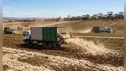 Australia comenzó a esparcir la lana de las ovejas en los campos de cultivo: científicos buscan combatir la sequía
