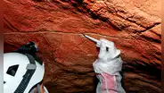 Hallan por primera vez ADN humano de 2.000 años en paredes con arte rupestre: una nueva ventana a la prehistoria